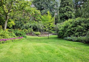 Optimiser l'expérience du jardin à Villechetive