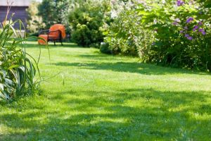 travaux jardin et paysage Villechetive